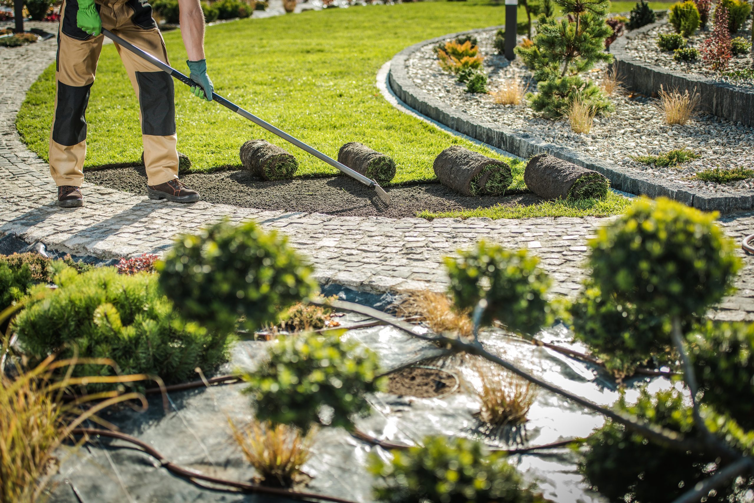 Caucasian Gardener in His 30s Replacing Natural Grass Turfs with New Healthy One. Gardening Job. Landscaping Industry Theme.